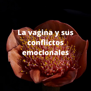 La vagina y sus conflictos emocionales